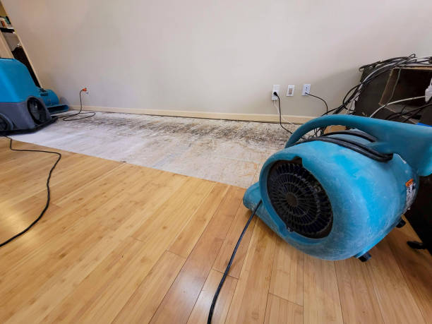 Professional Water Damage Repair technician working in White Castle, LA